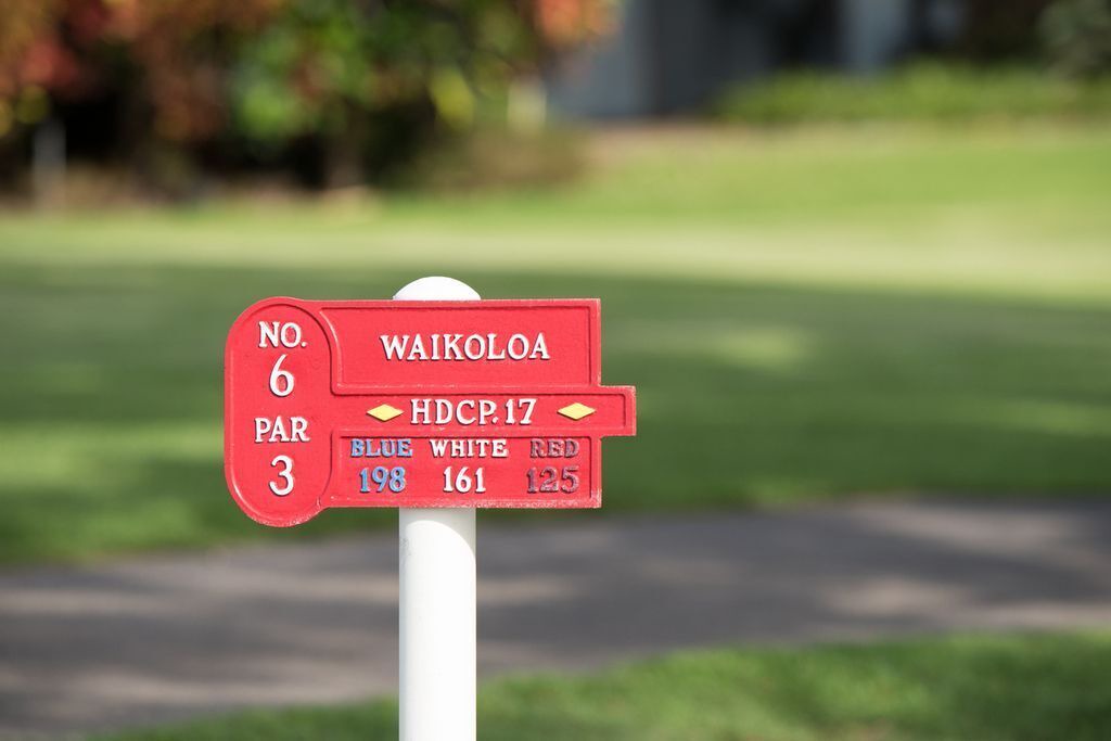 Photo of Others in Waikoloa