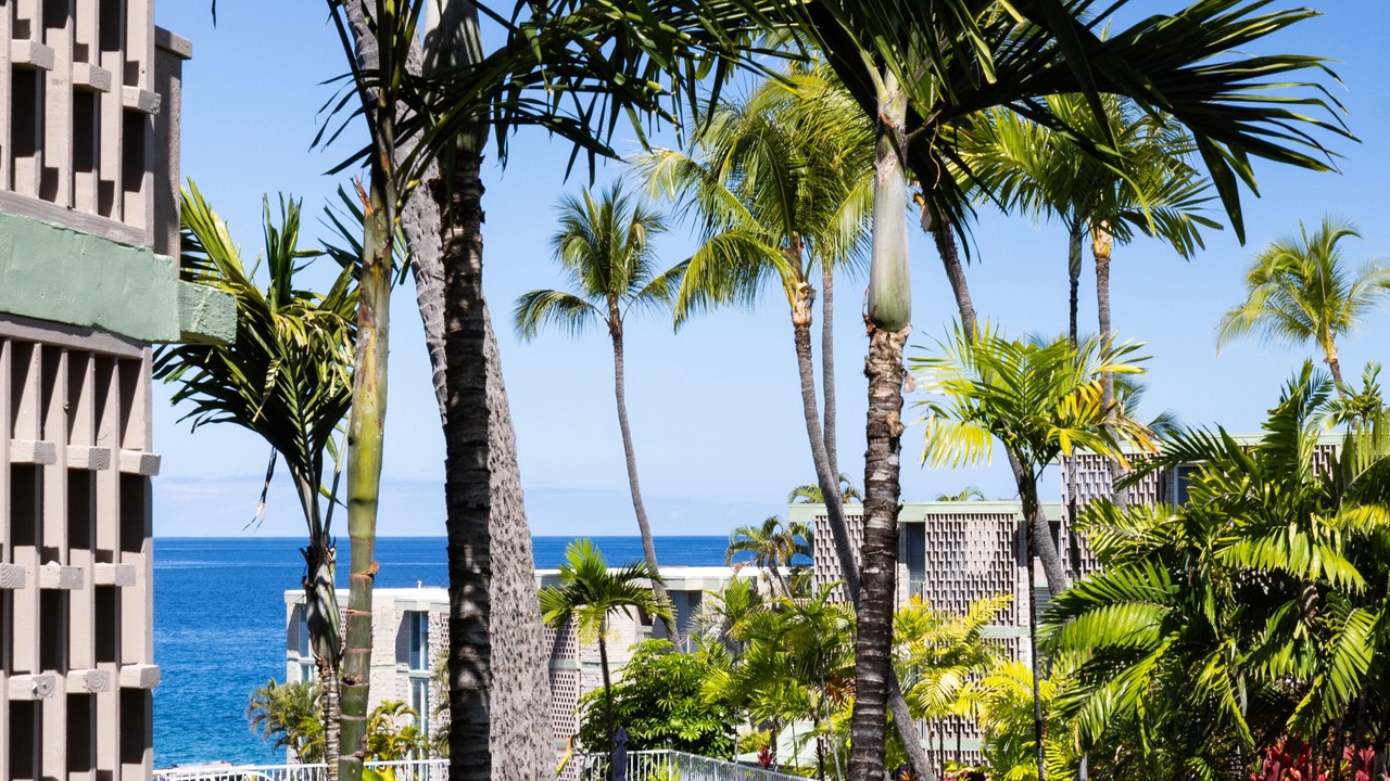 Photo of Outdoor in Kailua-Kona