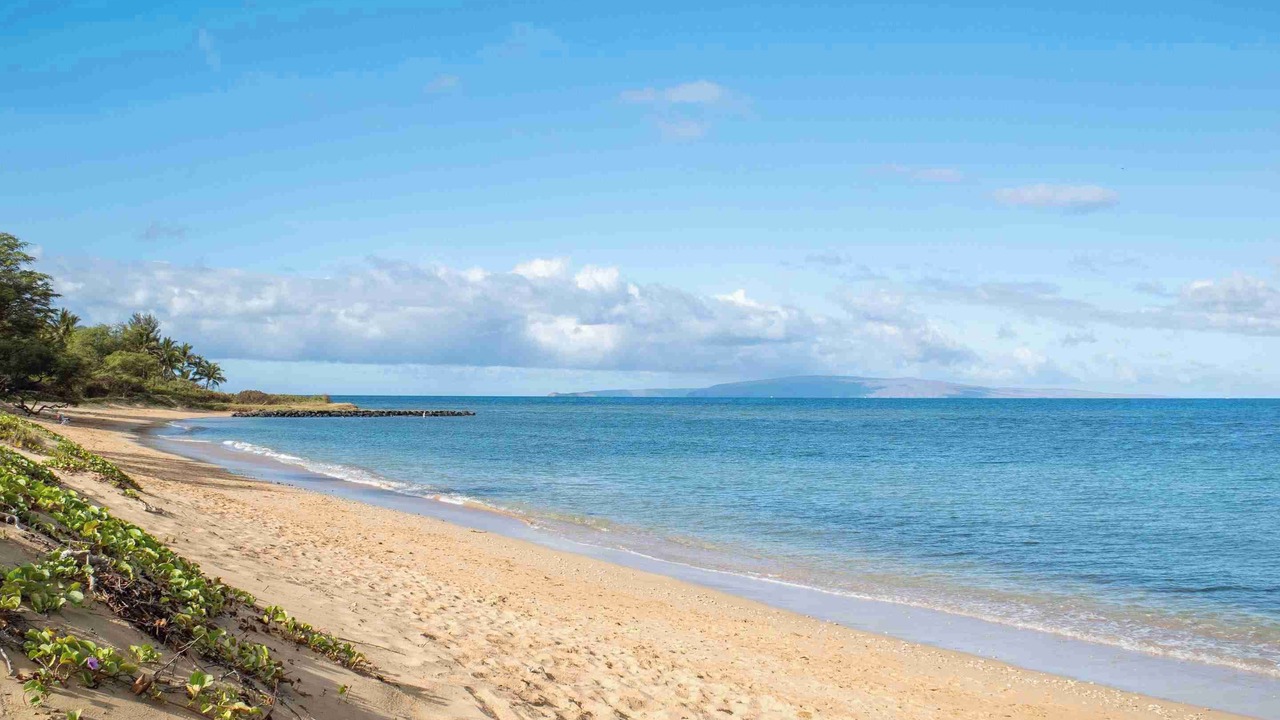 Photo of Others in Kihei