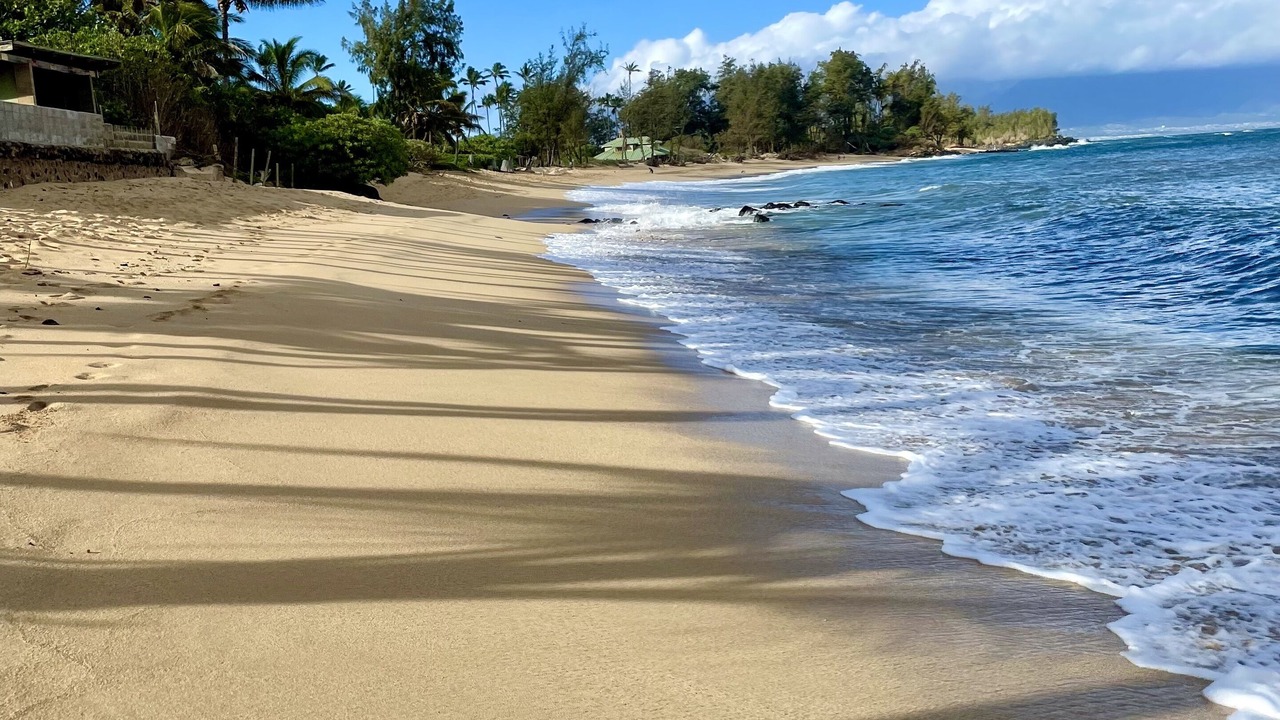 Photo of Others in Paia