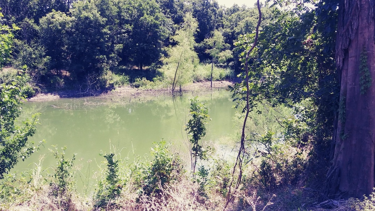 Photo of Others in Marble Falls
