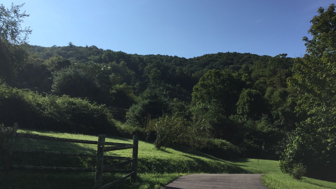 Photo of Others in Laurel Springs