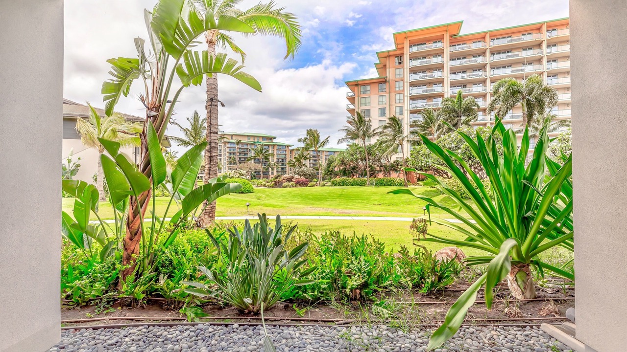 Photo of Outdoor in Honokowai