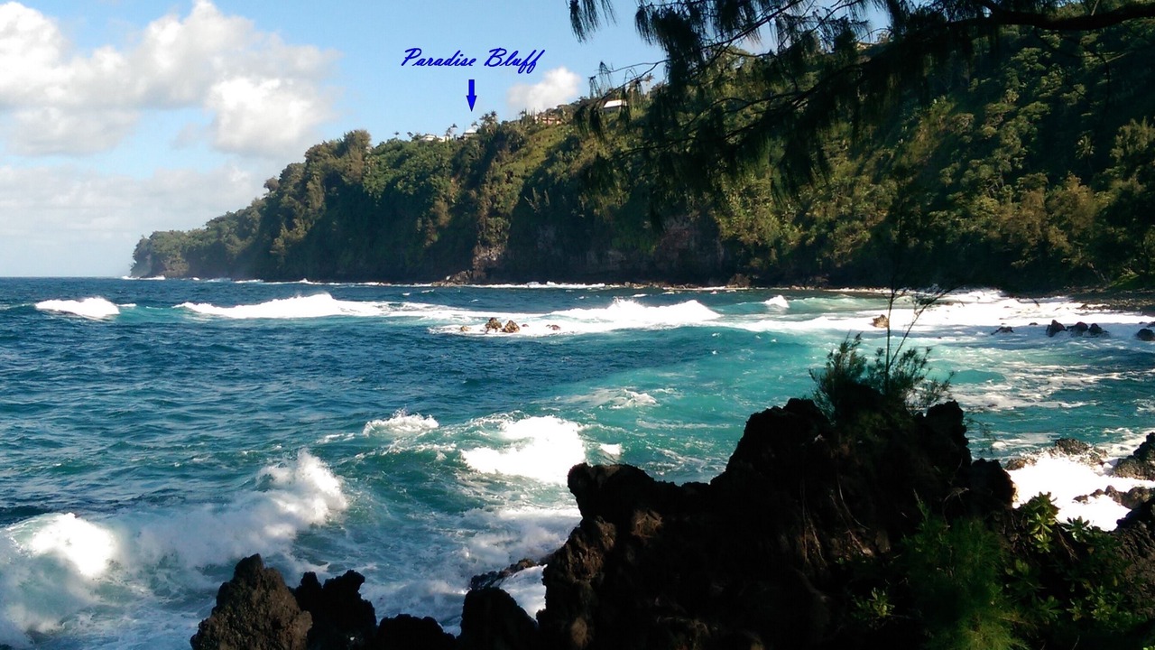 Photo of Others in Laupahoehoe