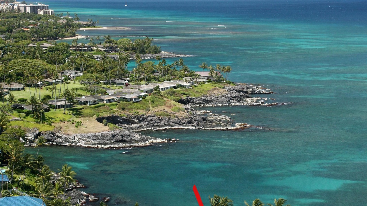 Photo of Others in Napili