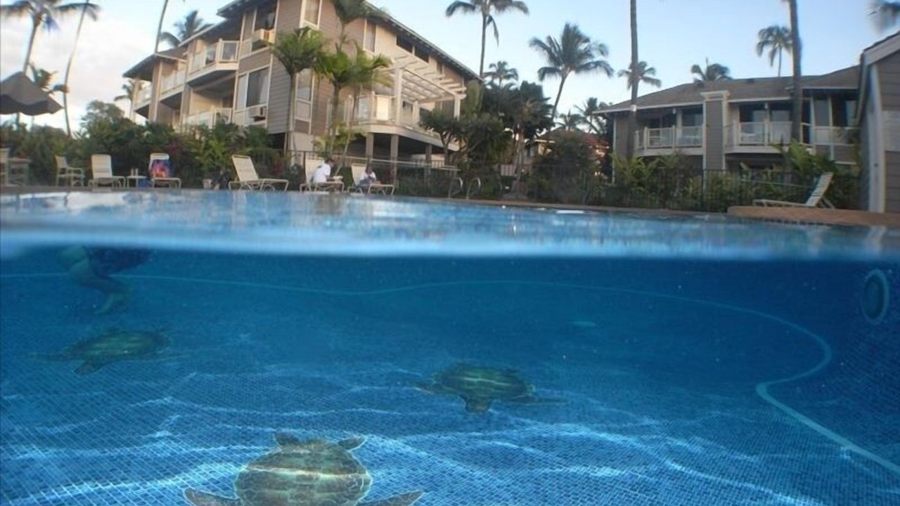 Photo of Others in Wailea