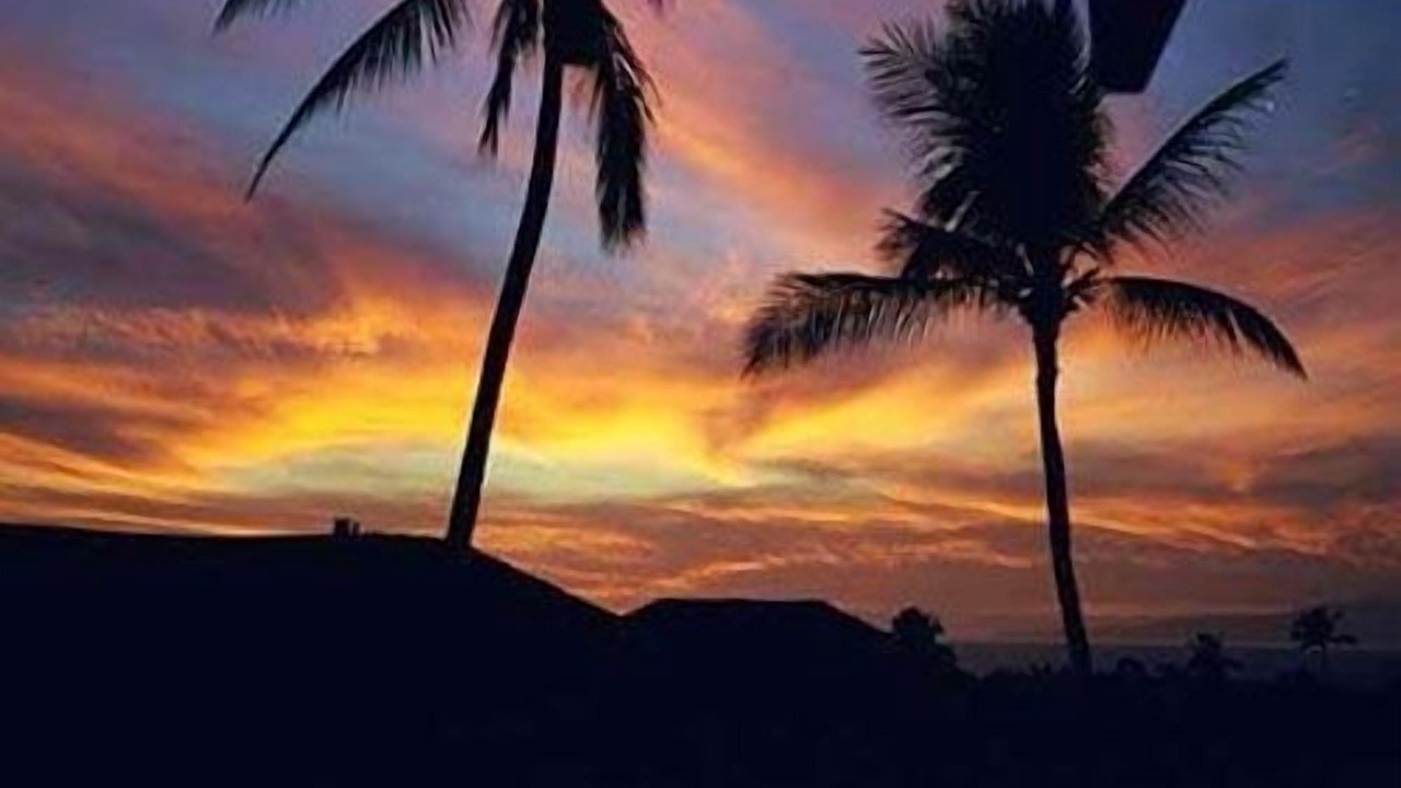 Photo of Others in Wailea