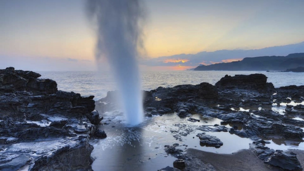 Photo of Others in Kihei