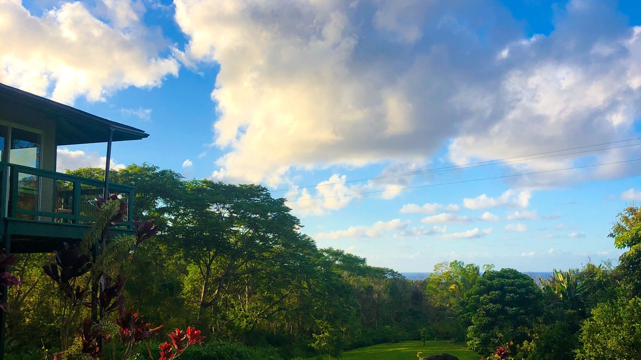 Photo of Bedroom in Hana