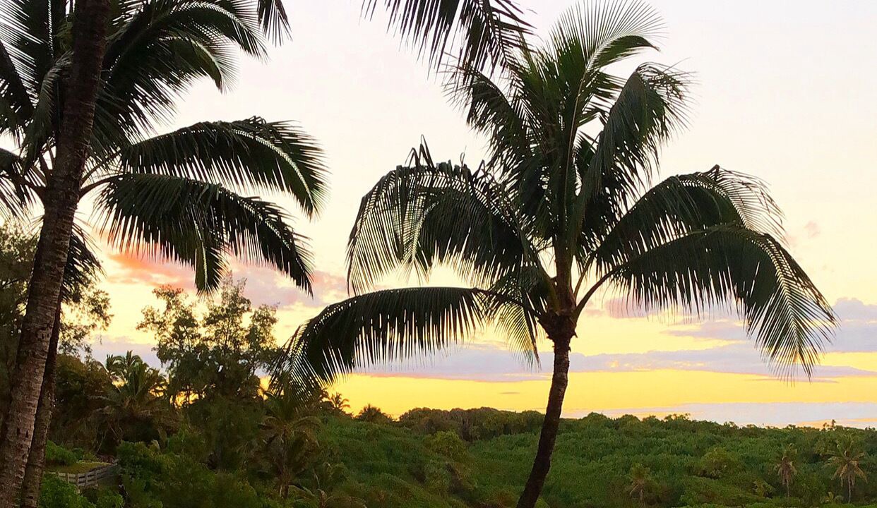 Photo of Others in Hana