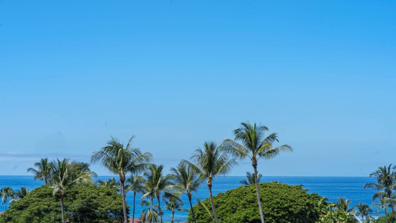 Photo of Others in Kahaluu Bay