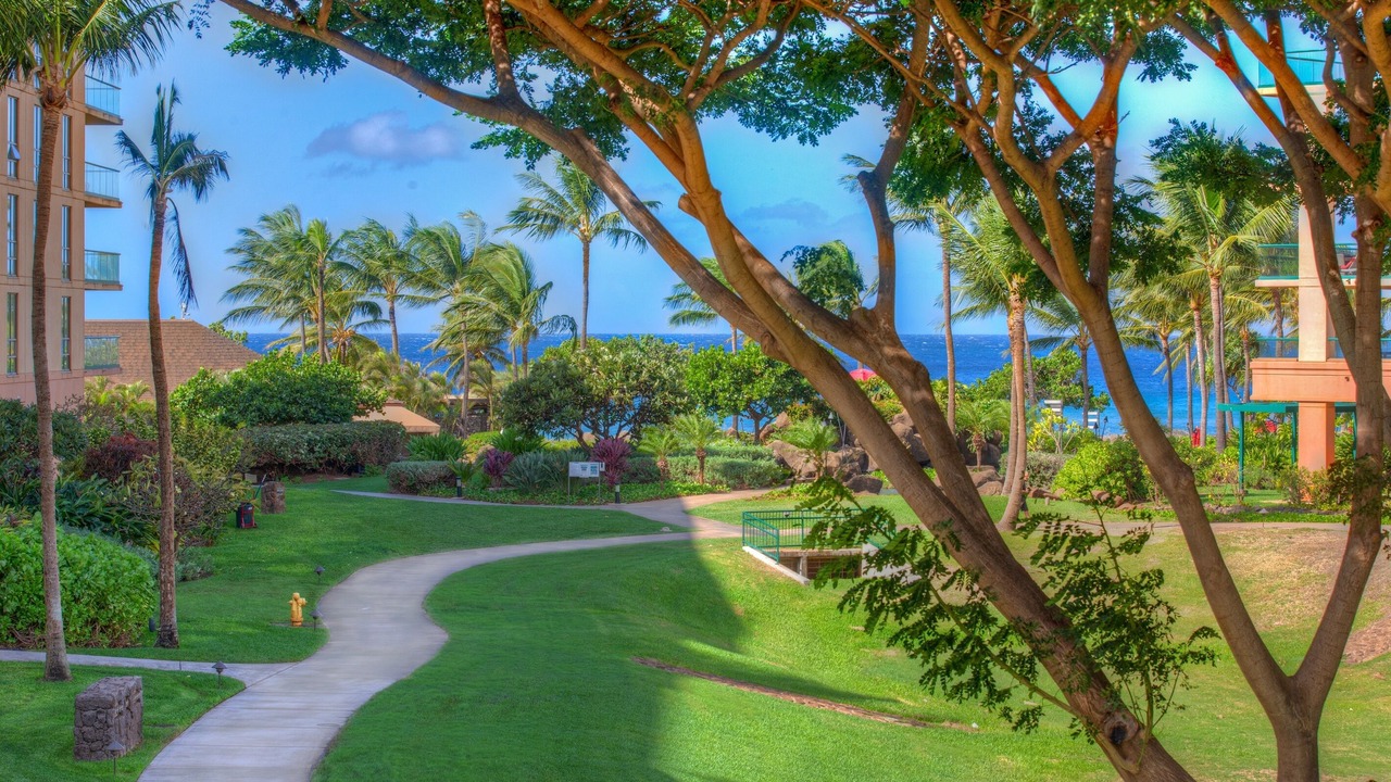 Photo of Outdoor in Honokowai