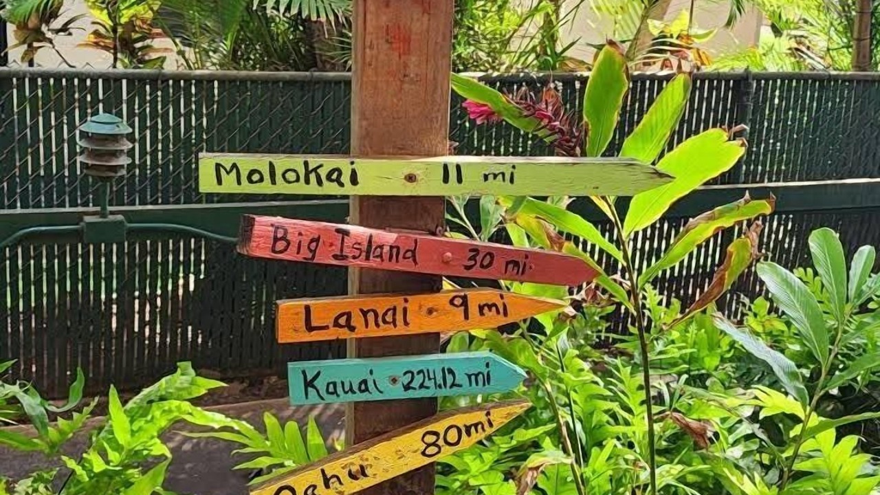 Photo of Outdoor in Honokowai