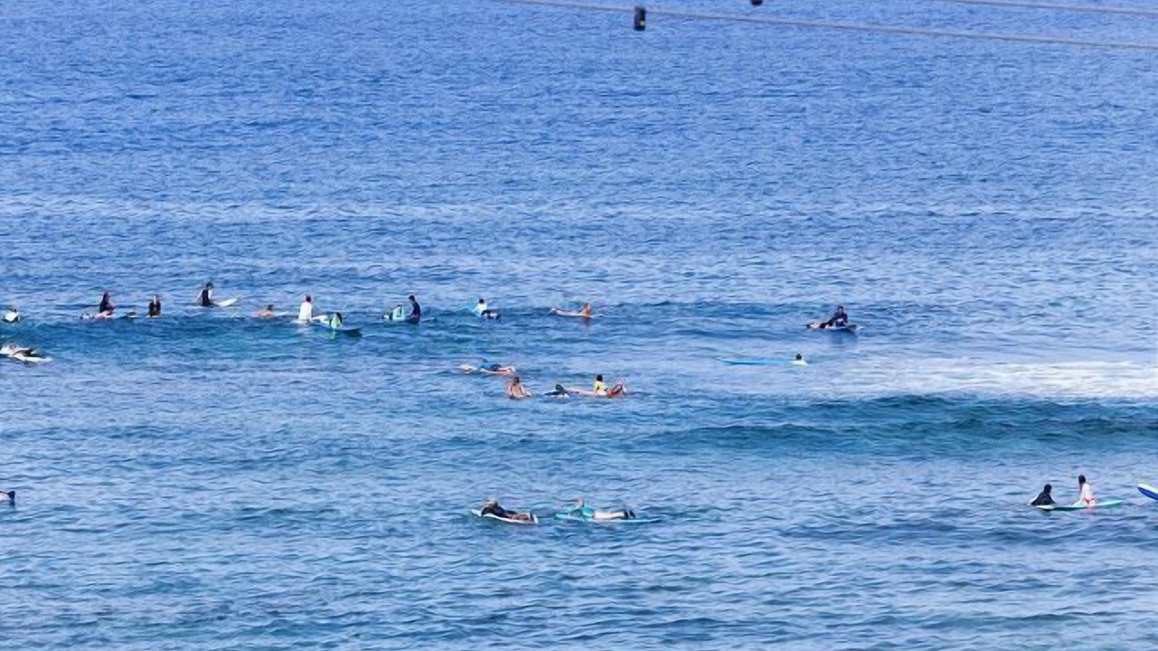 Photo of Others in Kahaluu Bay