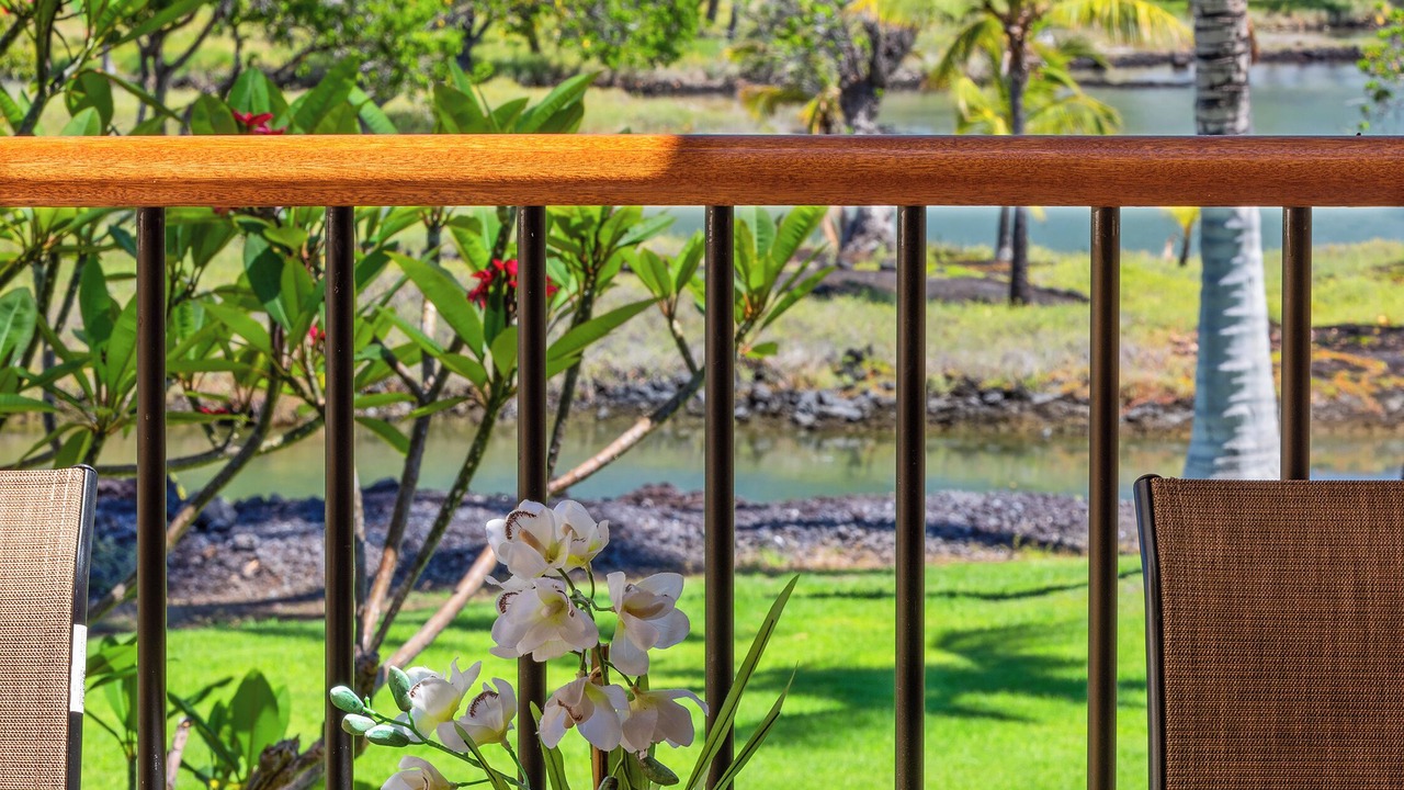 Photo of Outdoor in Kamuela