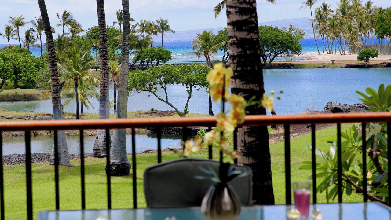 Photo of Outdoor in Kamuela