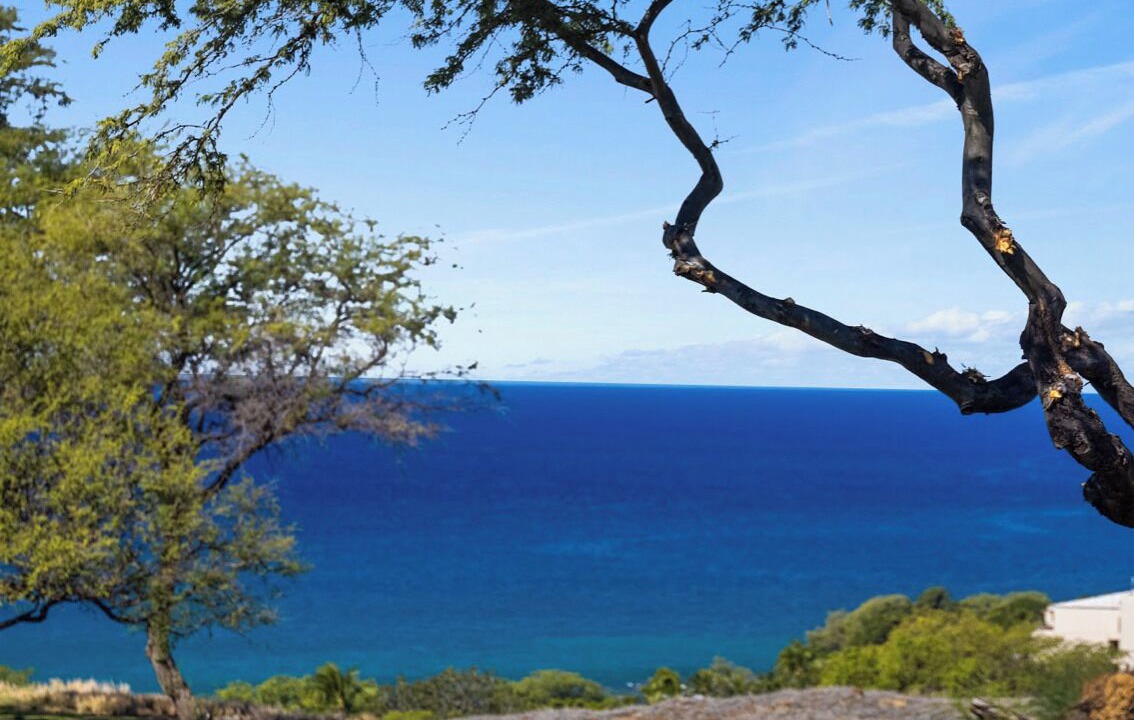 Photo of Outdoor in Kamuela
