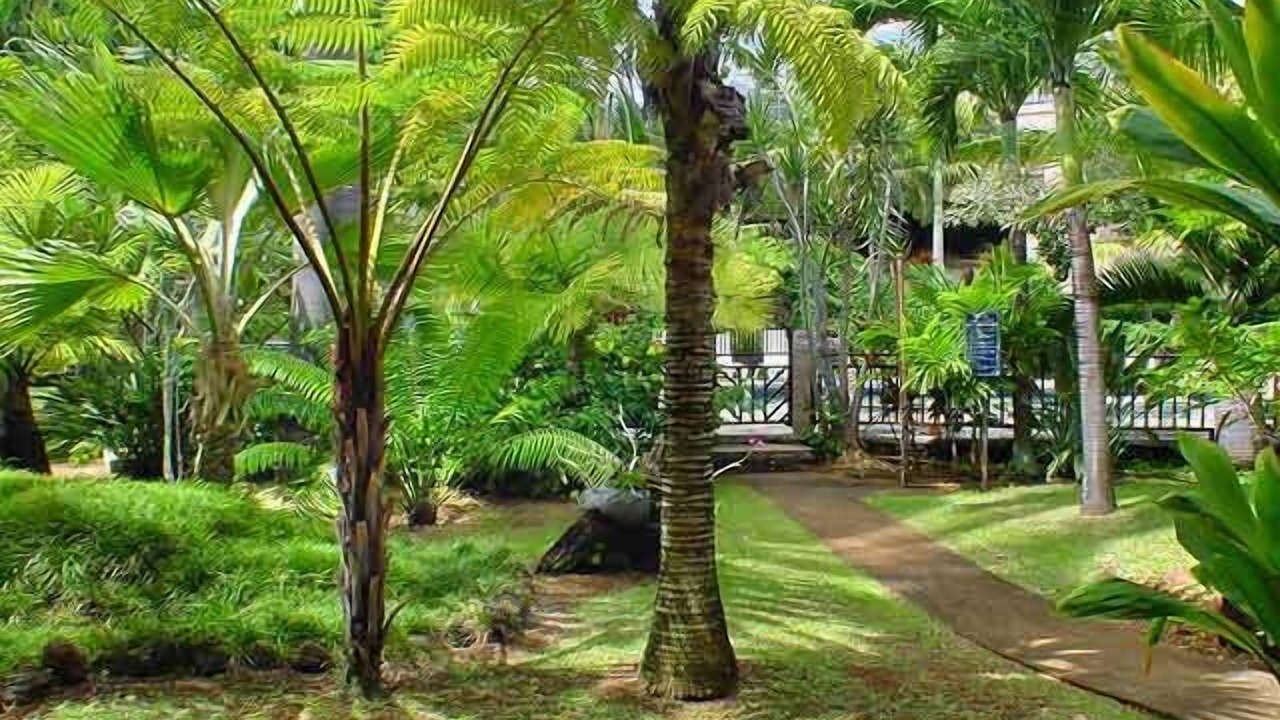 Photo of Others in Poipu