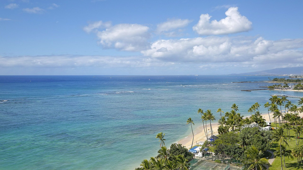 Photo of Others in Waikiki