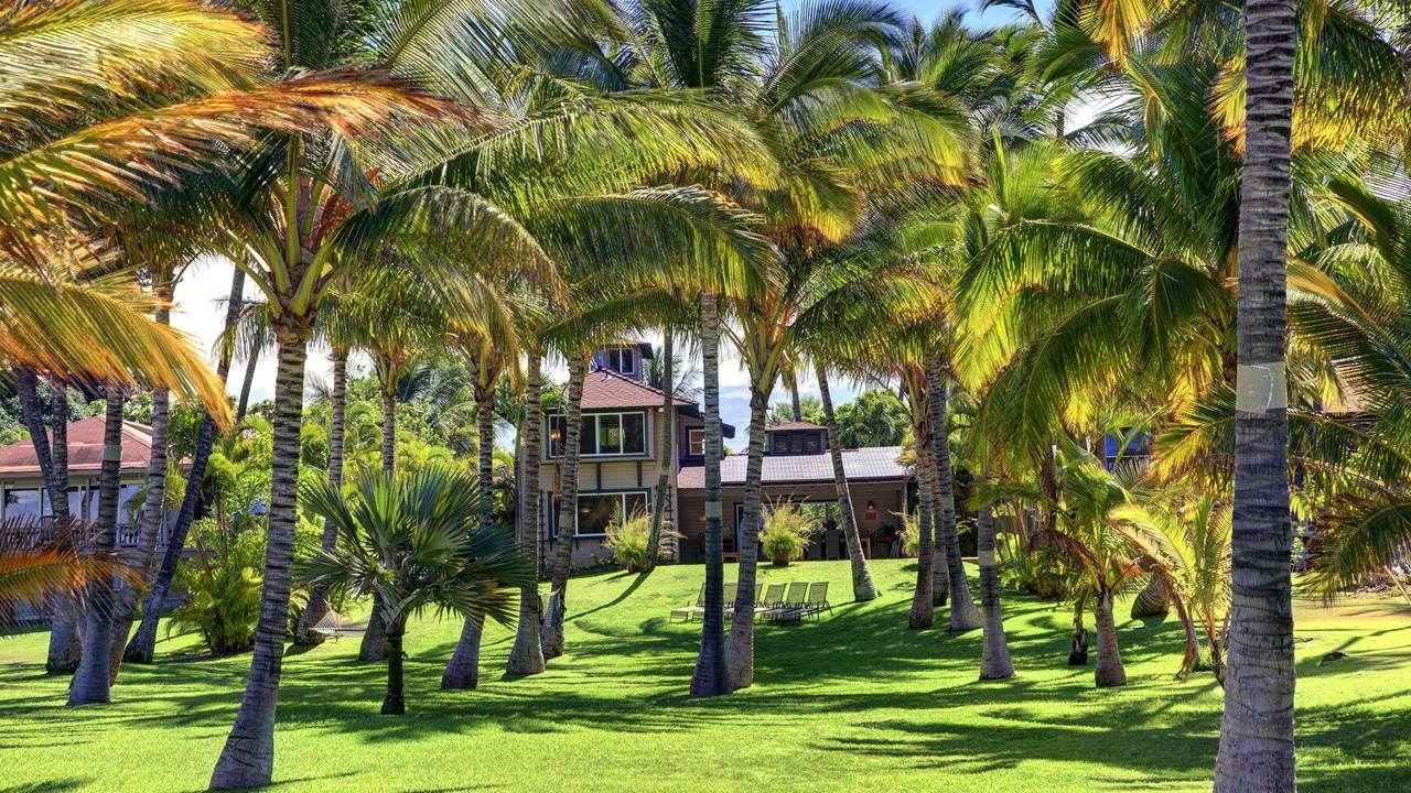 Photo of Others in Kihei