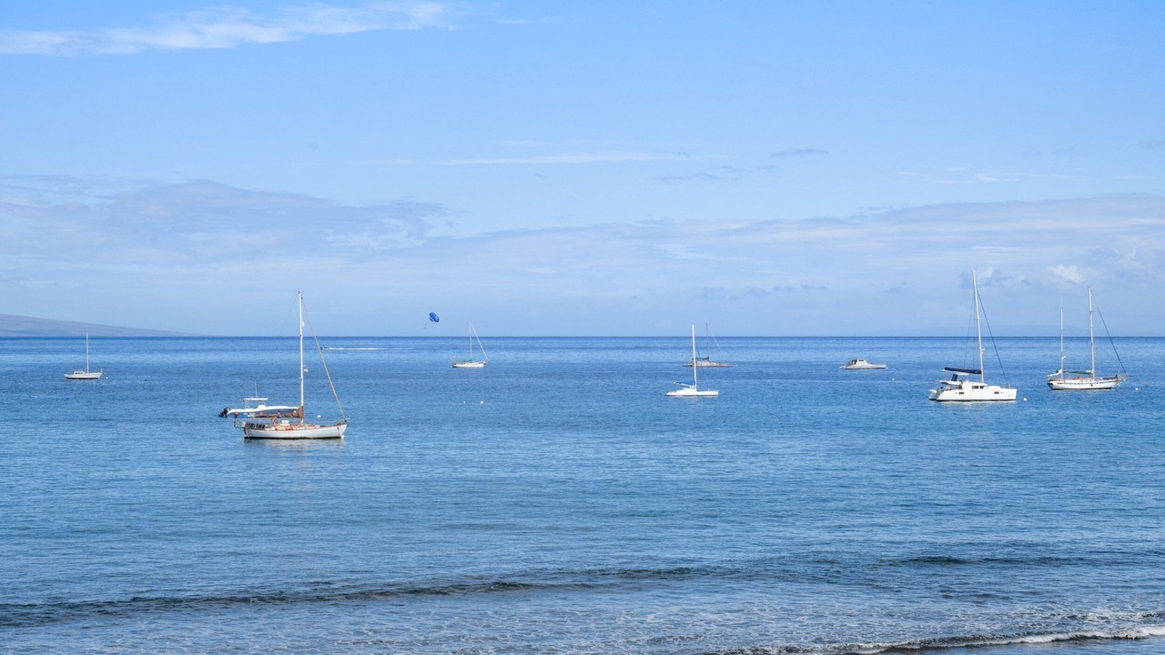 Photo of Others in Historic Lahaina Front Street