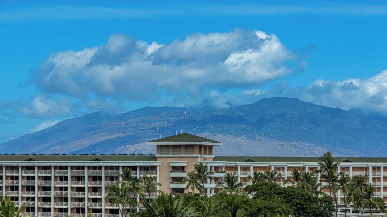 Photo of Others in Wailea