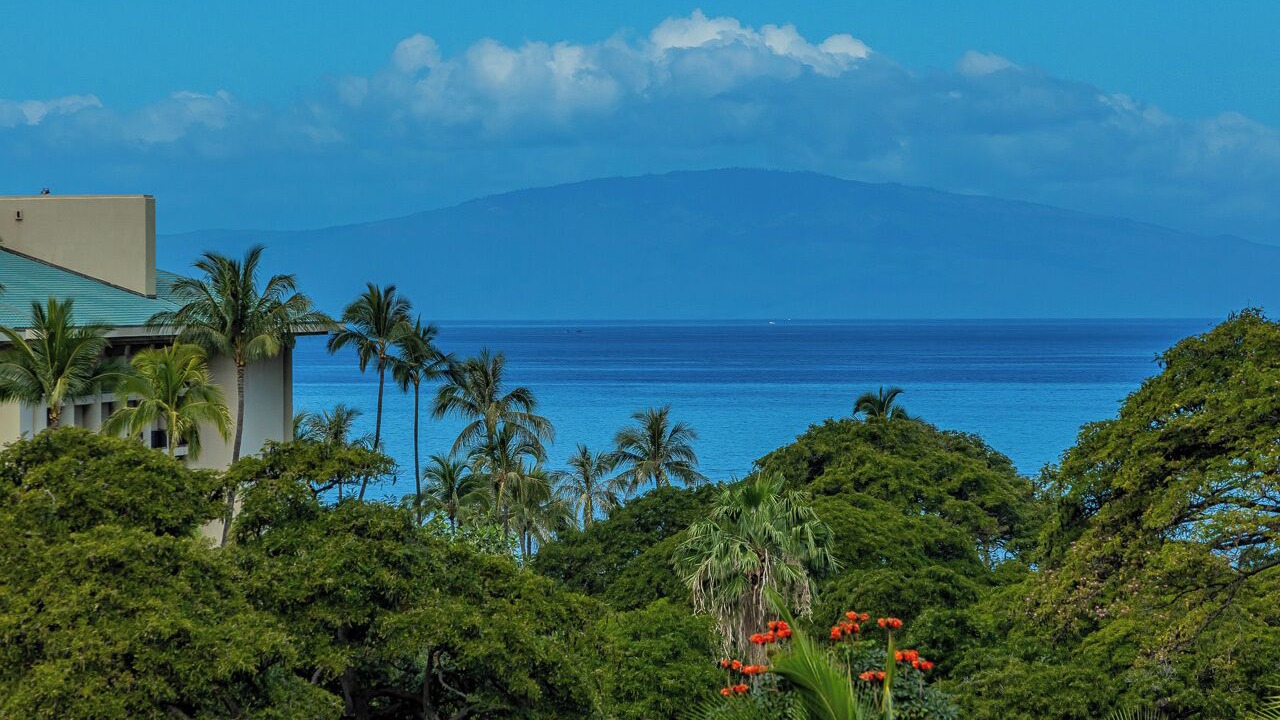 Photo of Others in Wailea