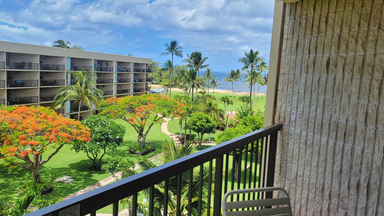 Photo of Others in Kihei