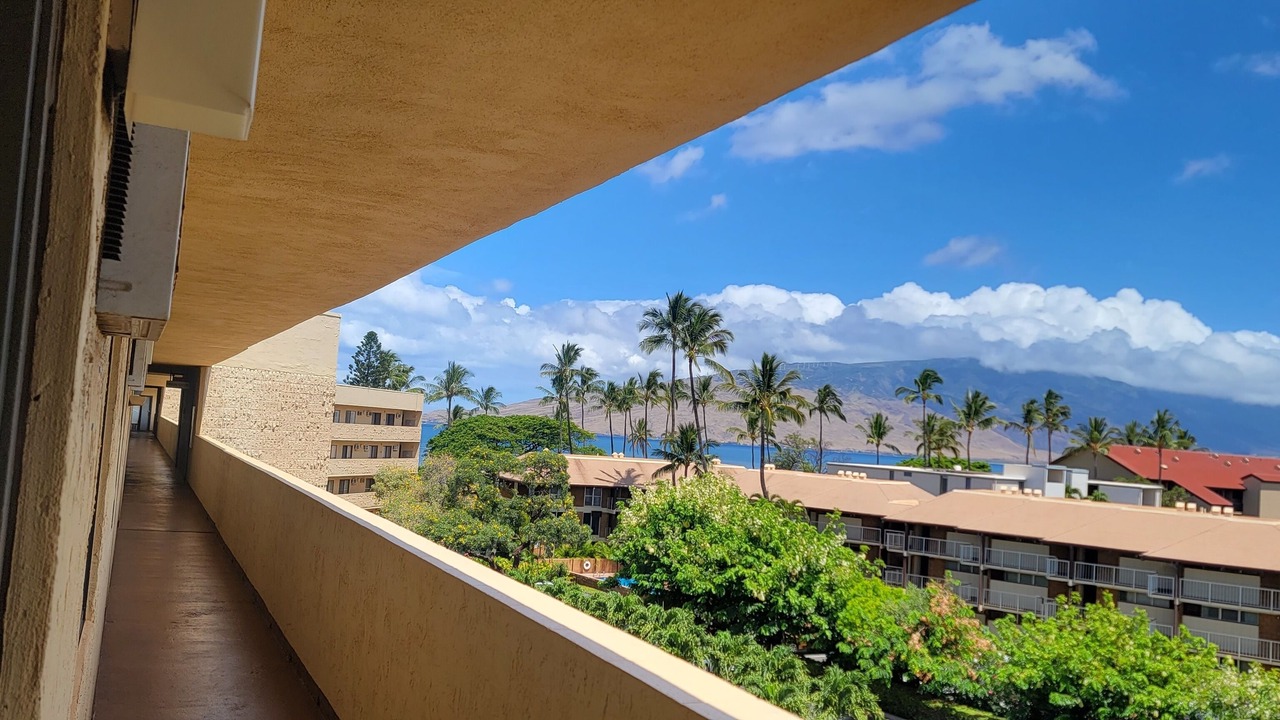 Photo of Others in Kihei