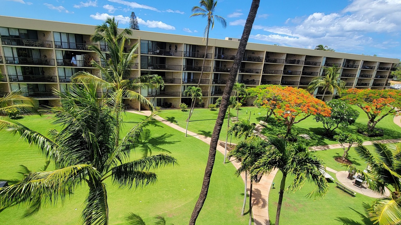 Photo of Others in Kihei