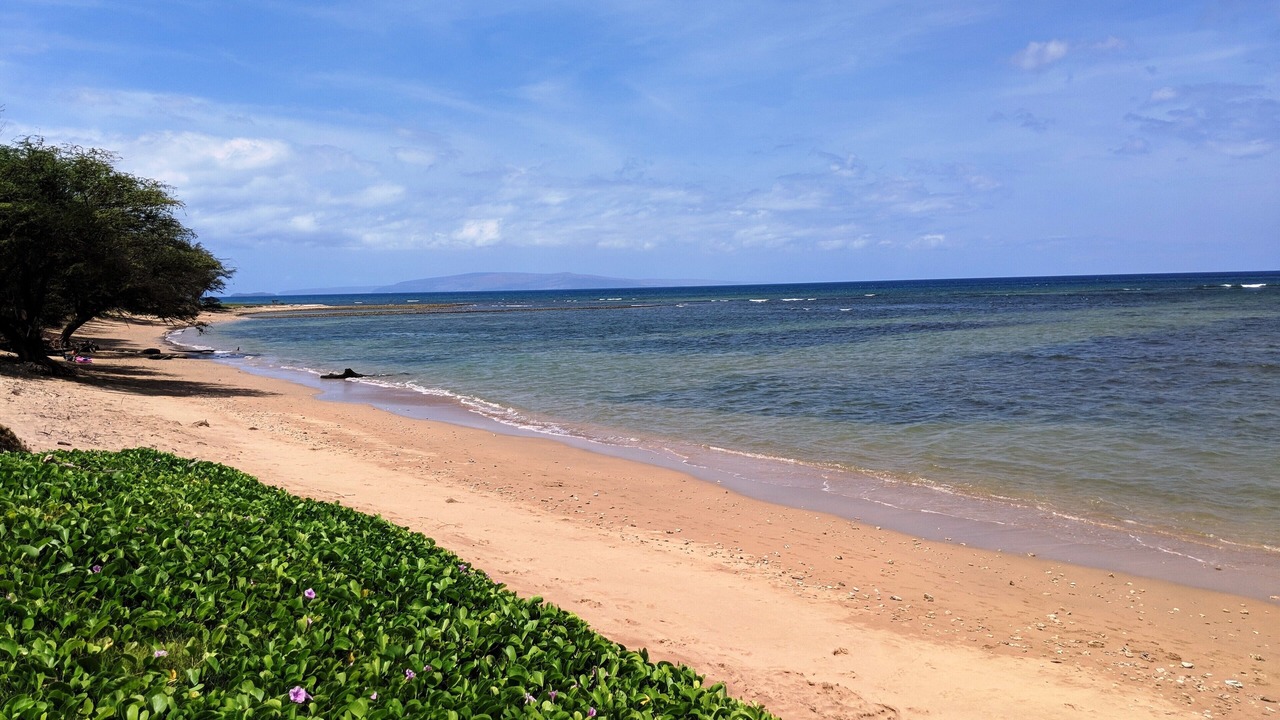 Photo of Others in Kihei