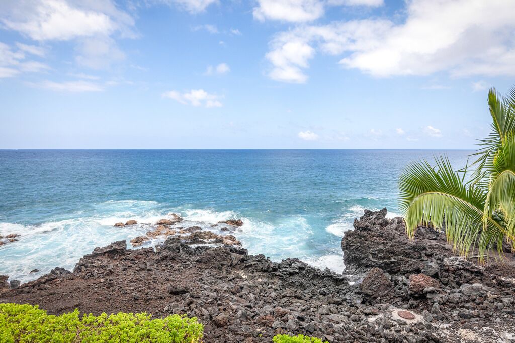 Photo of Others in Kahaluu Bay