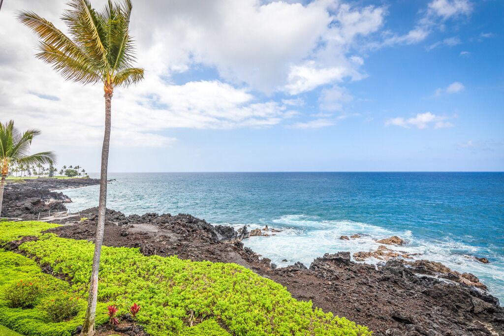 Photo of Others in Kahaluu Bay