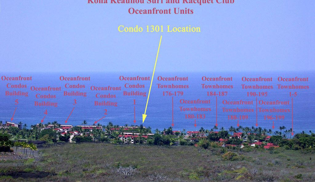 Photo of Others in Kahaluu Bay