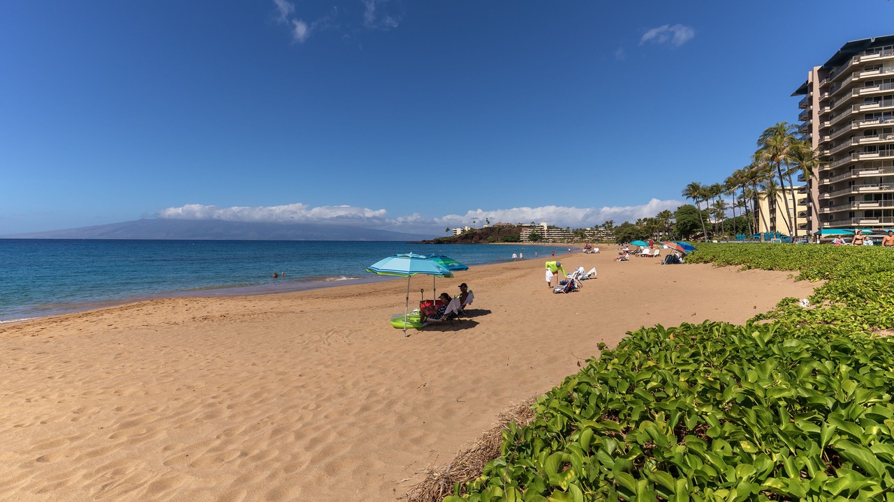 Photo of Others in Kaanapali