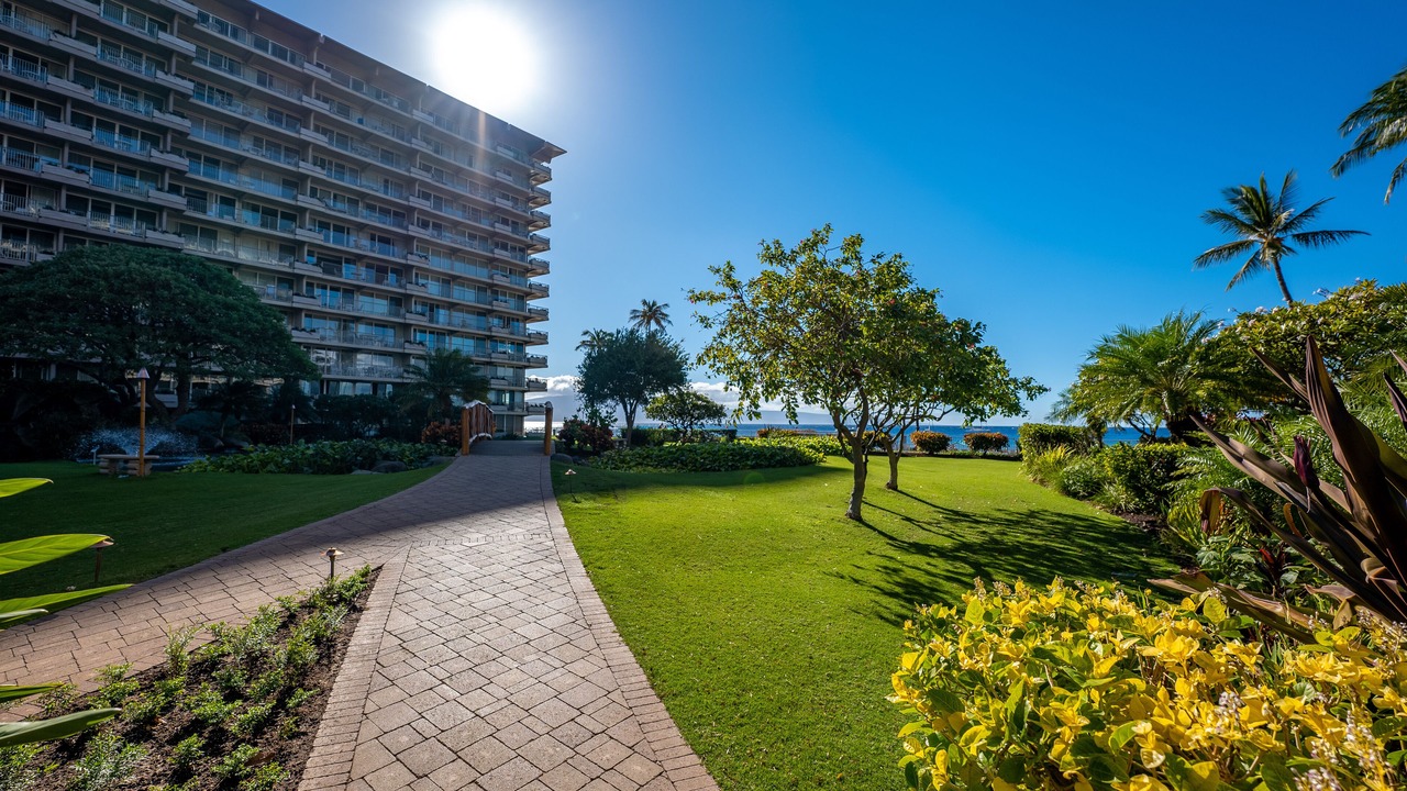 Photo of Others in Kaanapali