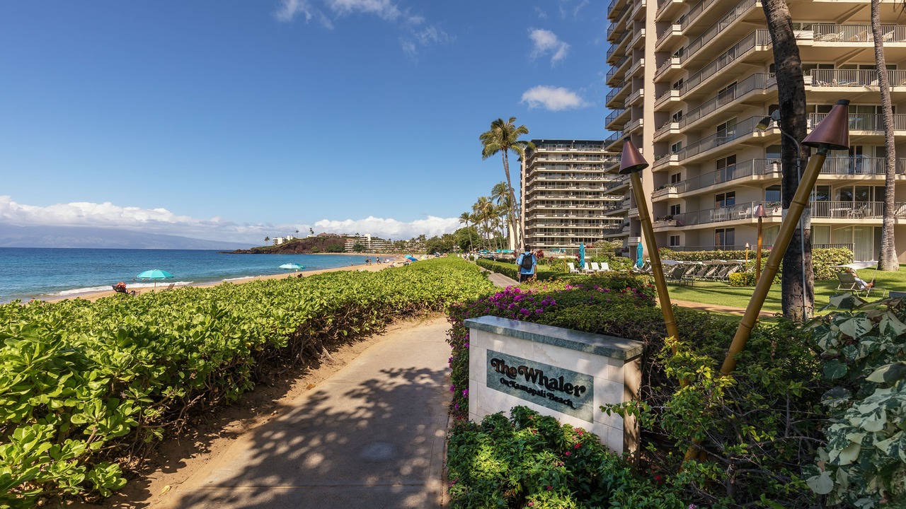 Photo of Others in Kaanapali