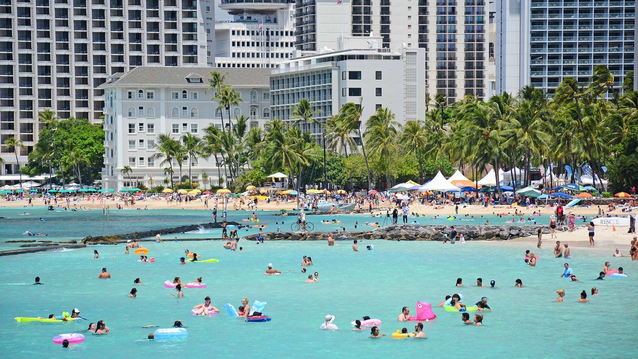 Photo of Others in Waikiki