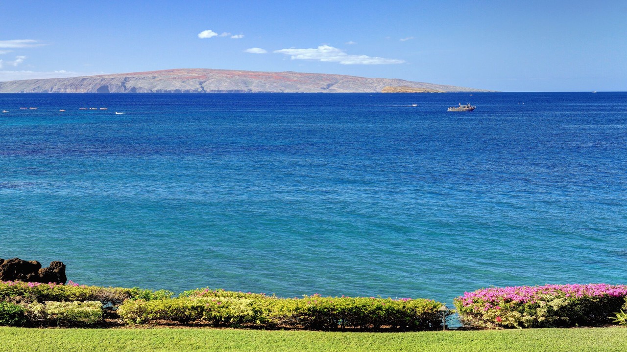 Photo of Others in Wailea