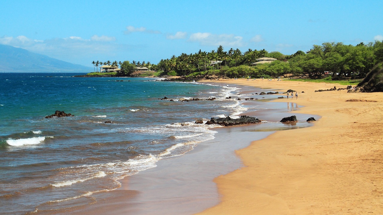 Photo of Others in Wailea