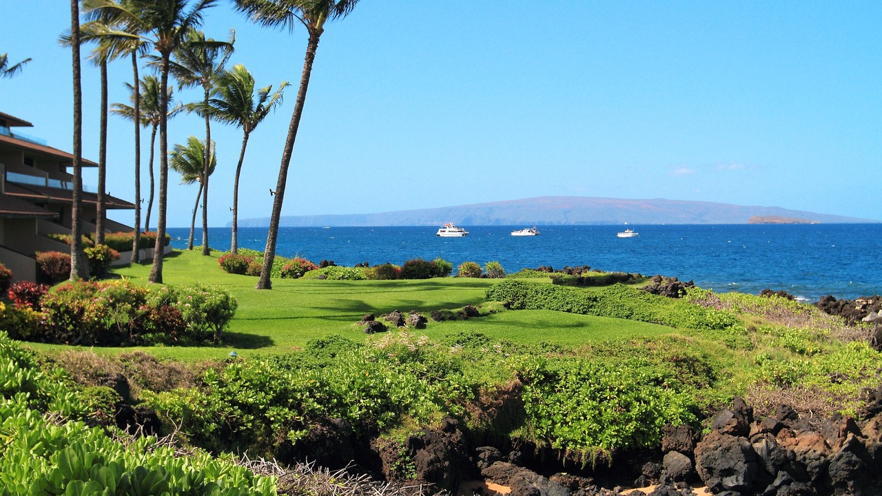 Photo of Outdoor in Wailea