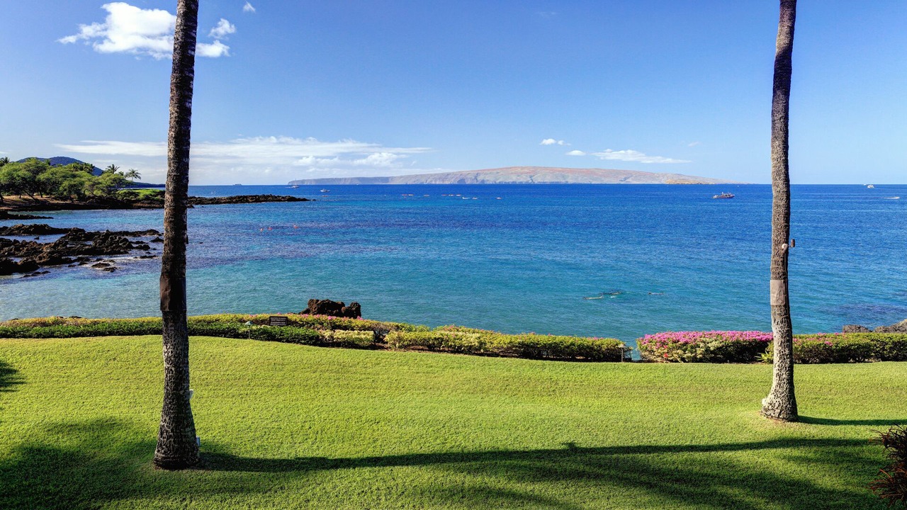 Photo of Others in Wailea