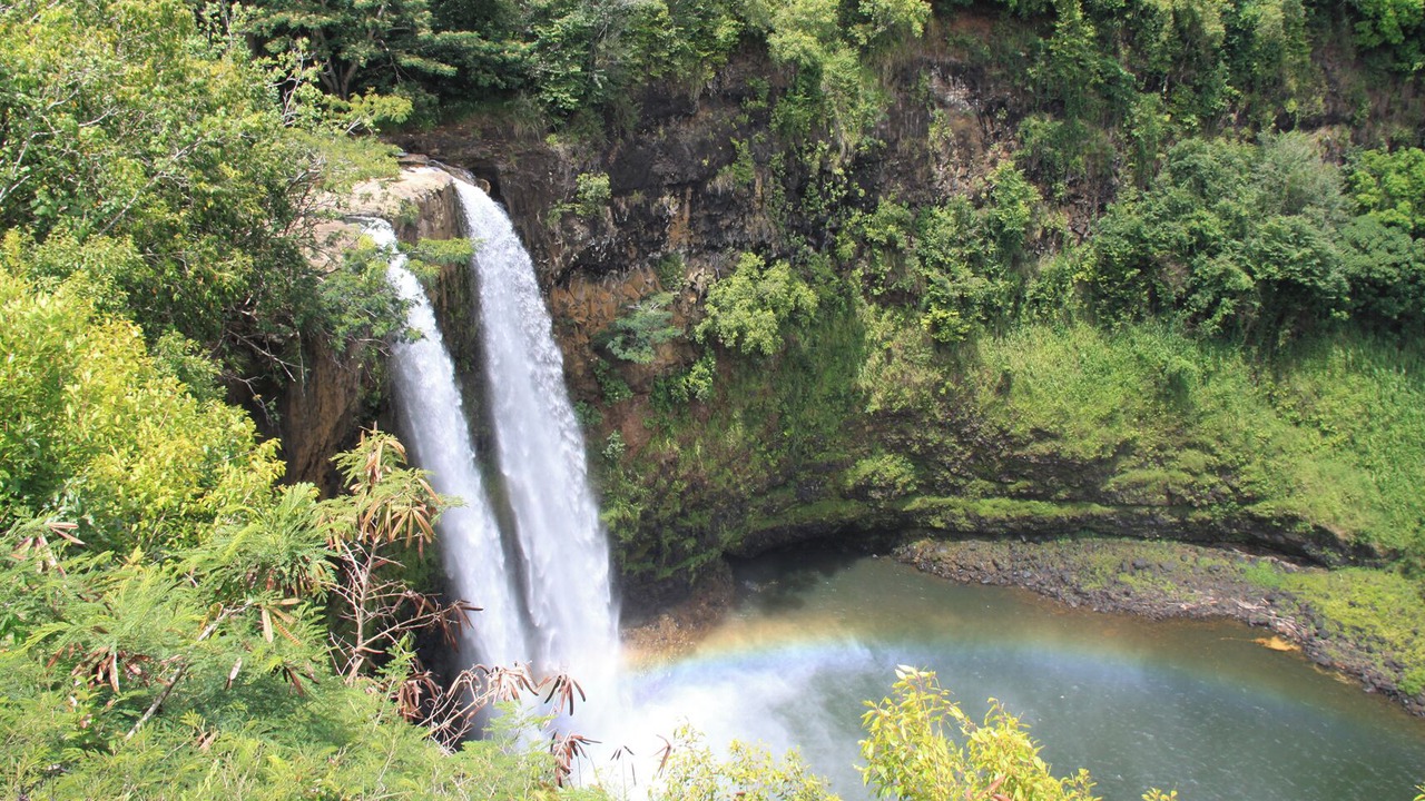 Photo of Others in Wailua