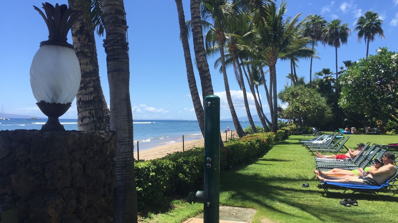 Photo of Others in Historic Lahaina Front Street