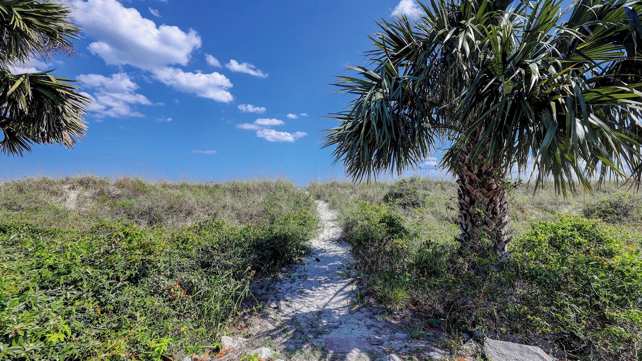Photo of Others in North Forest Beach