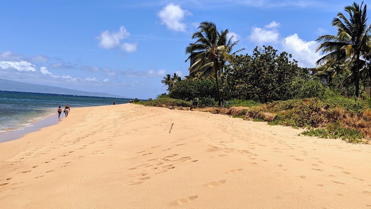 Photo of Others in Honokowai