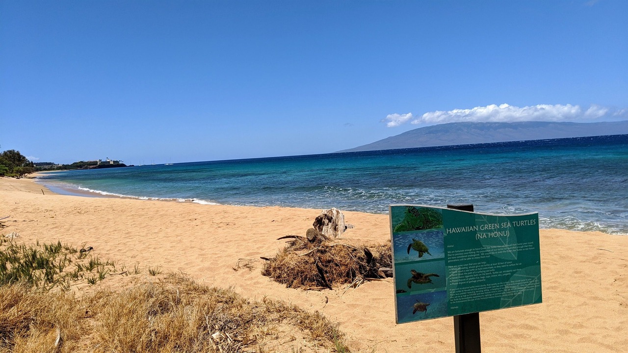 Photo of Others in Honokowai