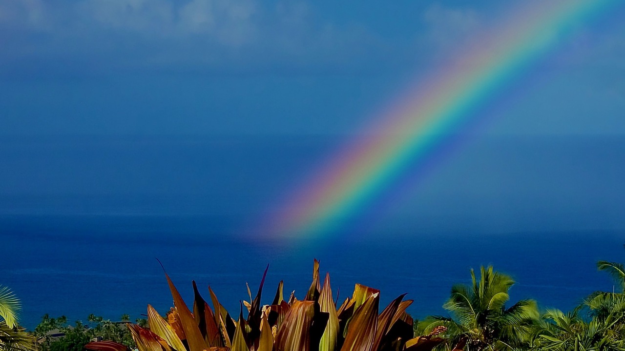 Photo of Others in Kahaluu-Keauhou
