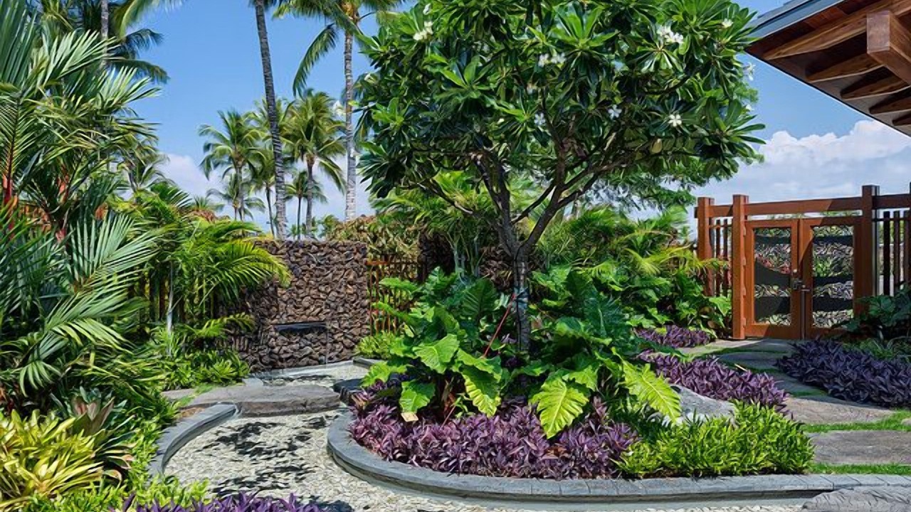 Photo of Outdoor in Kamuela