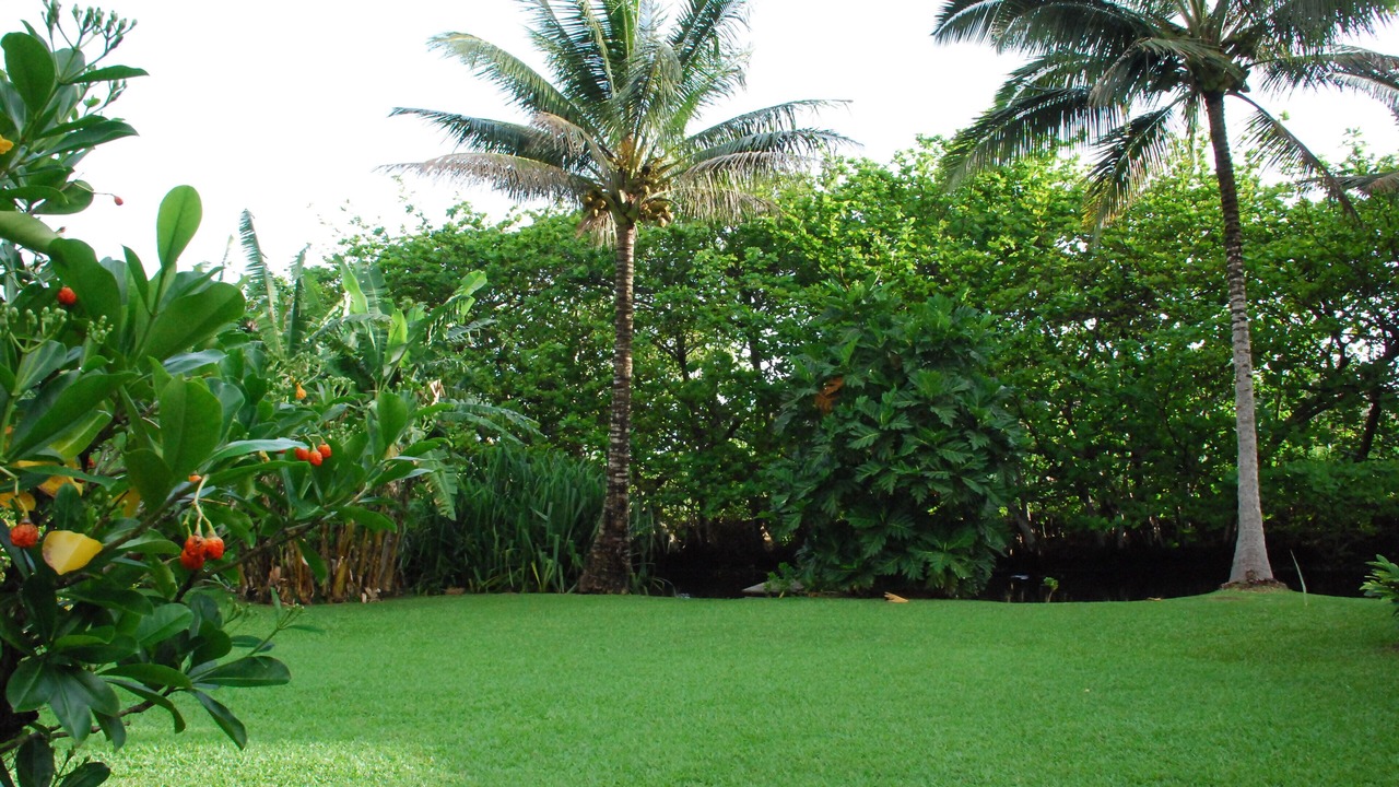 Photo of Others in Hauula